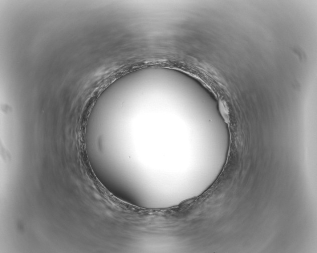 X0000091241445200708091123