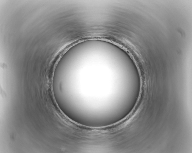 X0000091241449200708091122