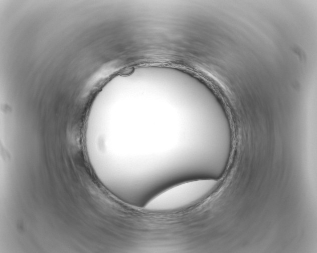 X0000091241451200708091122