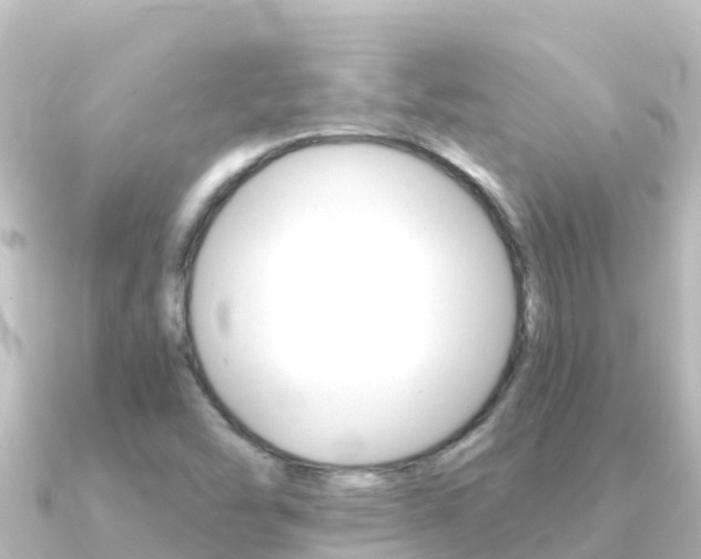 X0000091241454200708091122