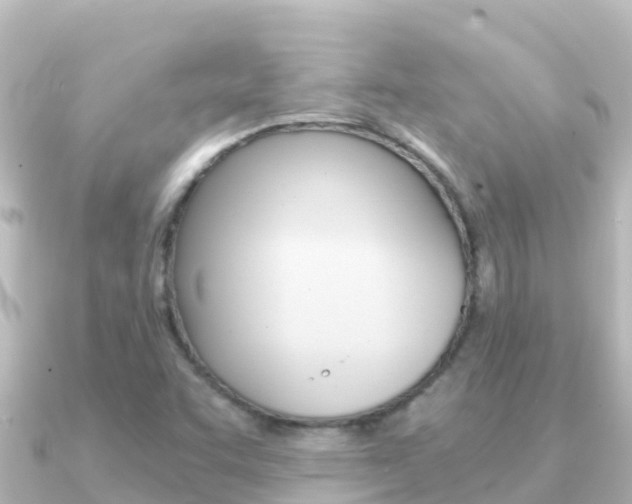 X0000091241455200708091122