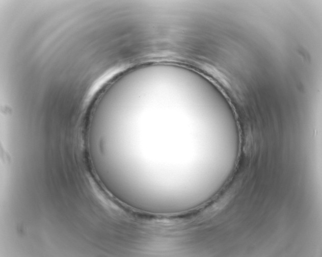 X0000091241458200708091122