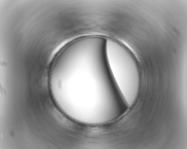 X0000091241460200708091122