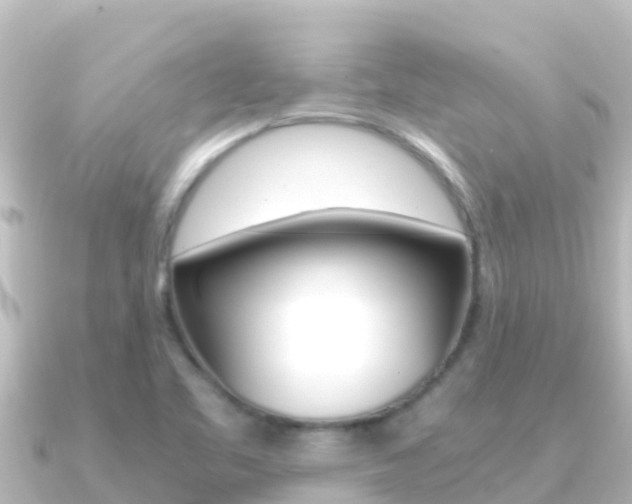 X0000091241461200708091122