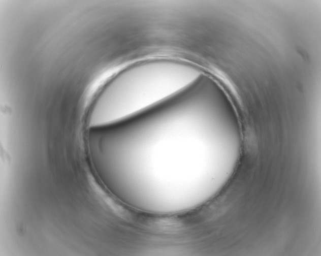 X0000091241464200708091122