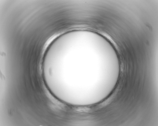 X0000091241466200708091122