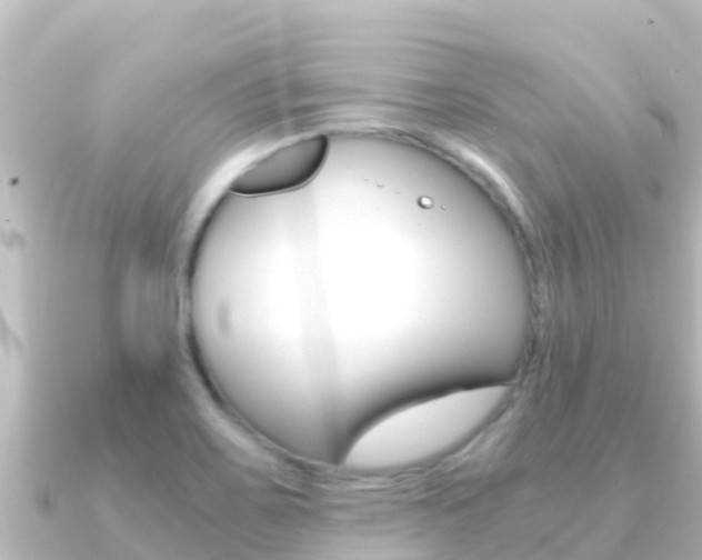 X0000091241467200708091122