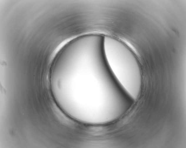 X0000091241468200708091122