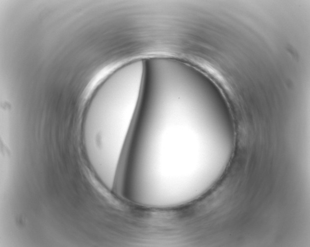 X0000091241469200708091122