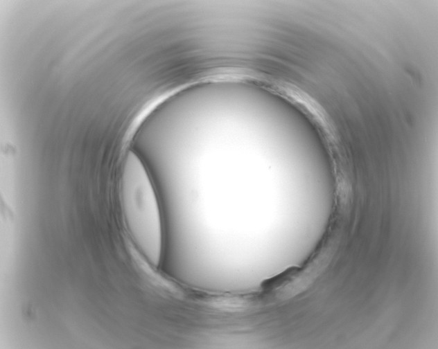 X0000091241473200708091122