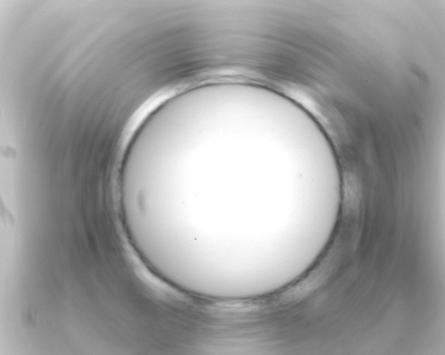 X0000091241474200708091122