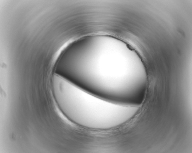 X0000091241476200708091122