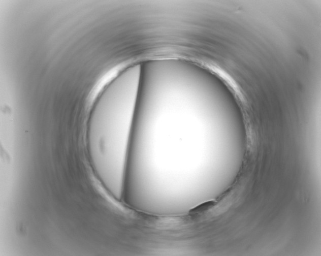X0000091241477200708091122