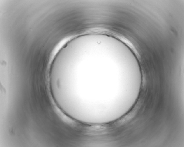 X0000091241478200708091122