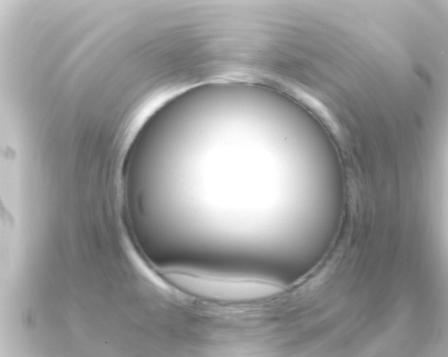 X0000091241479200708091122