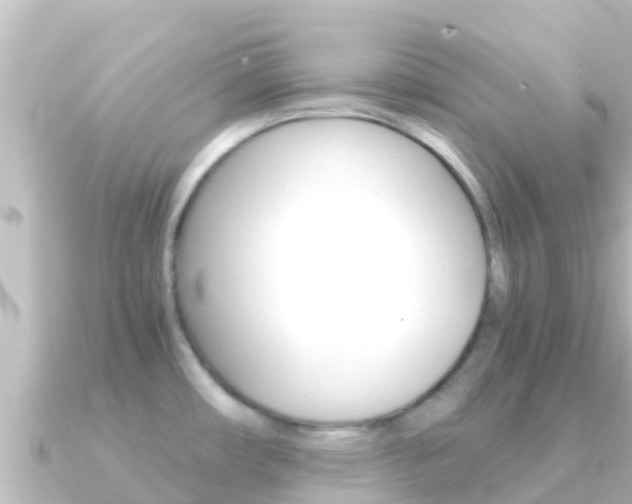 X0000091241482200708091122