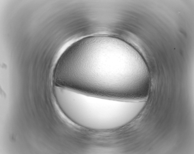 X0000091241483200708091122