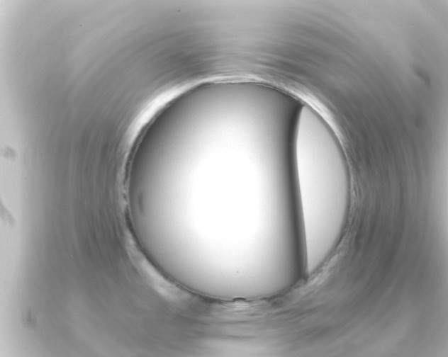 X0000091241485200708091122