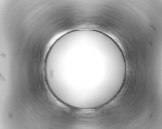 X0000091241486200708091122