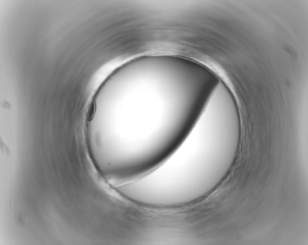 X0000091241488200708091122