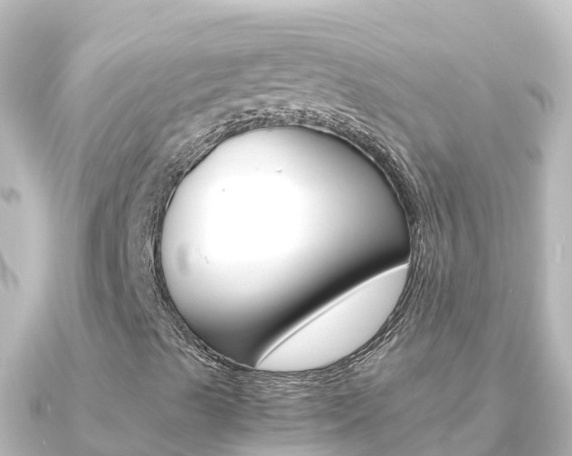 X0000091241489200708091121
