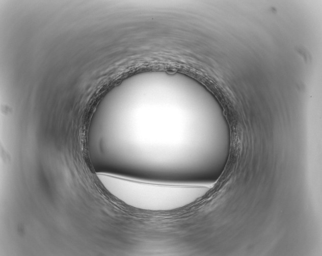 X0000091241490200708091121