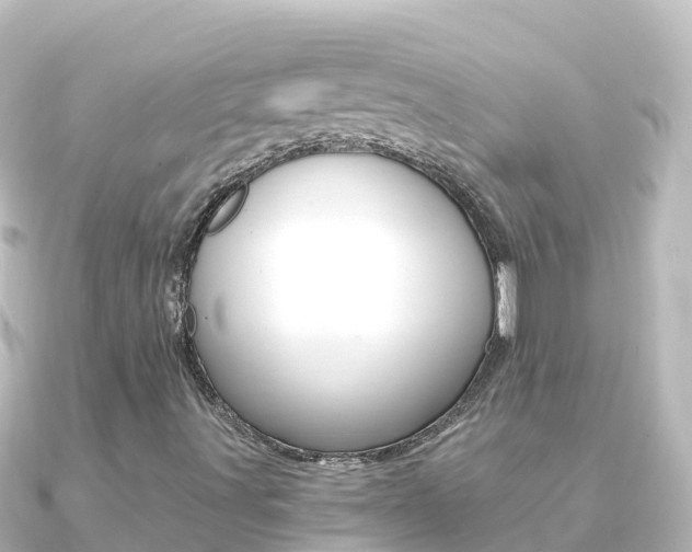 X0000091241491200708091122