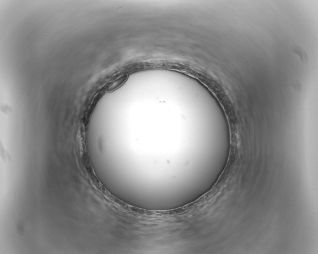 X0000091241493200708091122