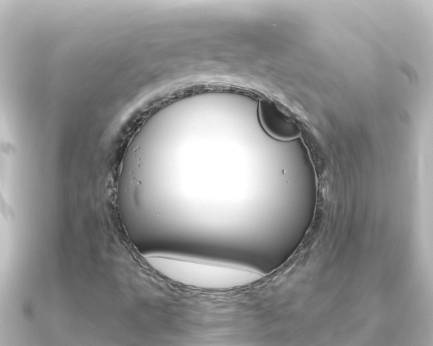 X0000091241495200708091122