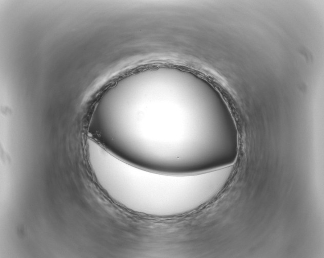 X0000091241496200708091122