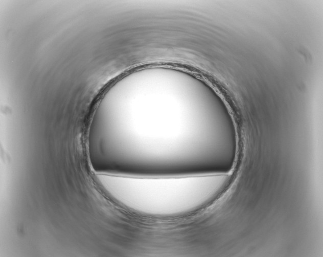 X0000091241497200708091122