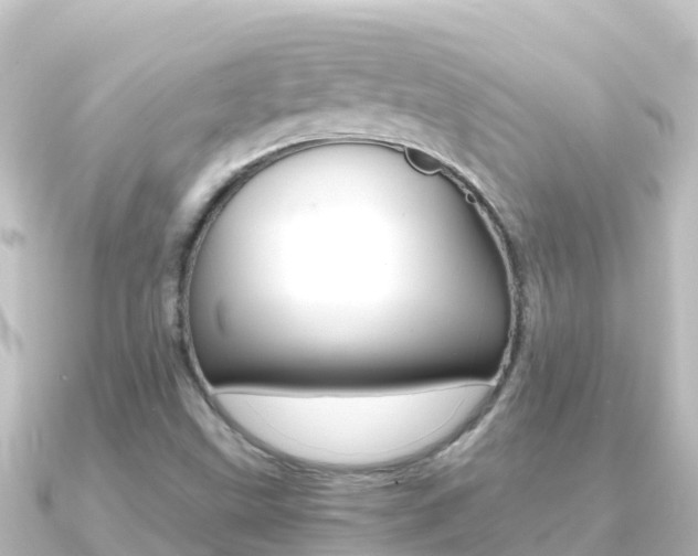 X0000091241499200708091122