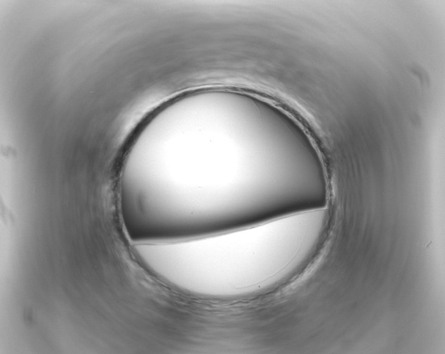X0000091241501200708091122