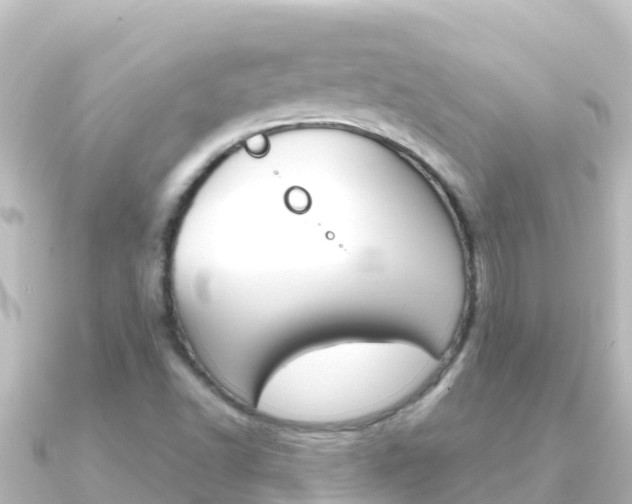 X0000091241502200708091122