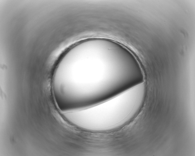 X0000091241503200708091122