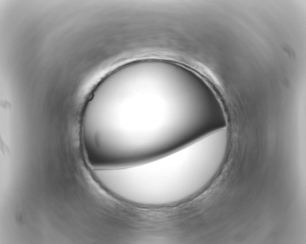 X0000091241504200708091122