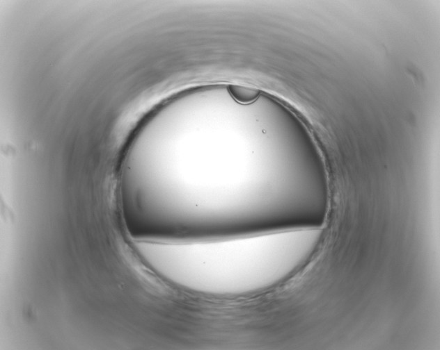 X0000091241507200708091122
