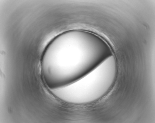 X0000091241509200708091122