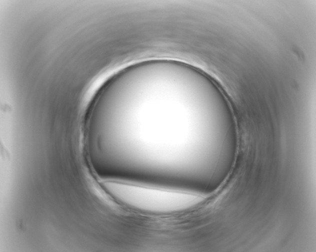 X0000091241511200708091122