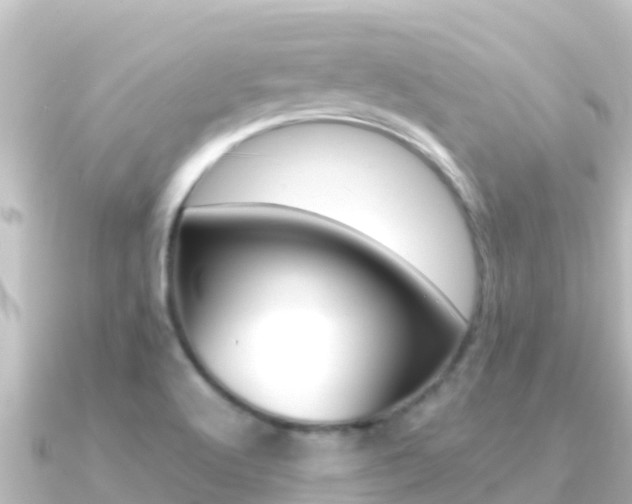 X0000091241512200708091122
