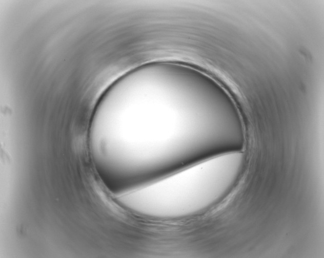 X0000091241513200708091122