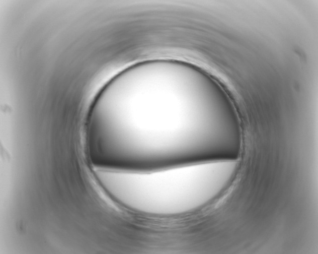 X0000091241517200708091122