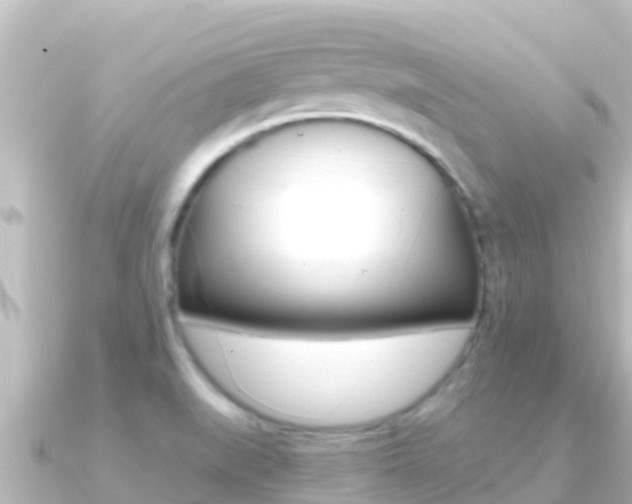 X0000091241519200708091122