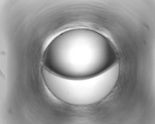 X0000091241524200708091122