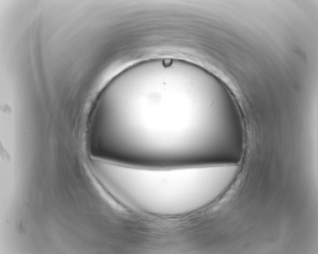 X0000091241525200708091122