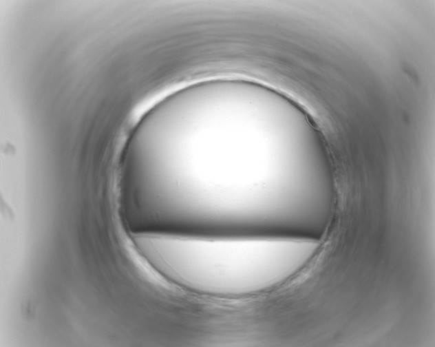 X0000091241526200708091122