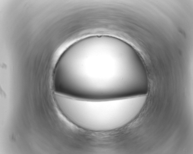 X0000091241527200708091122
