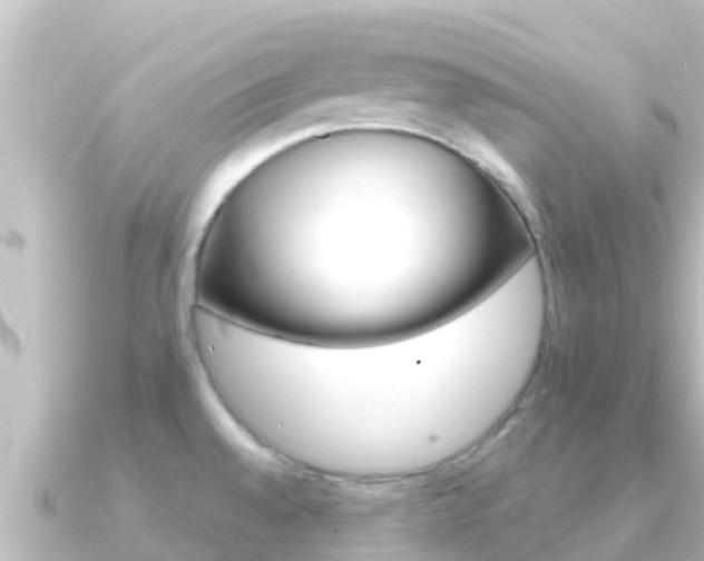 X0000091241528200708091122