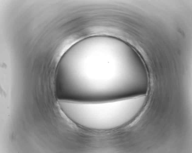 X0000091241529200708091122