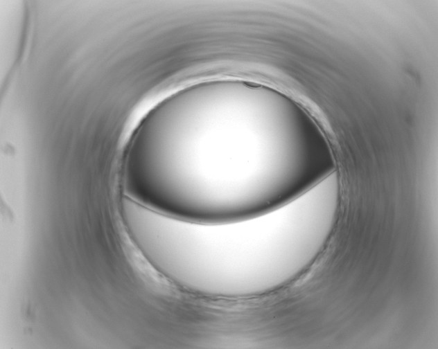 X0000091241530200708091122